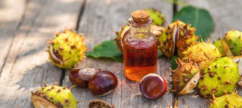 Productos naturales para el sistema circulatorio en Ourense