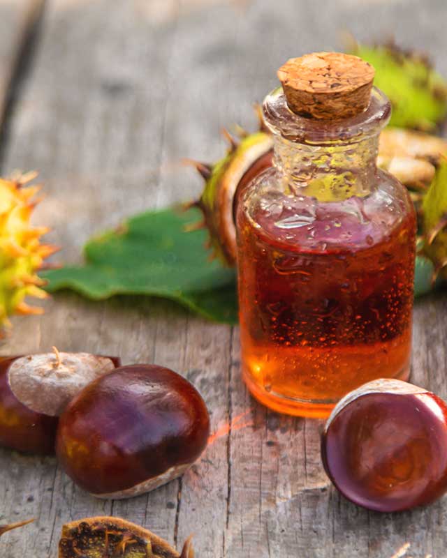 Productos naturales para el sistema circulatorio en Ourense