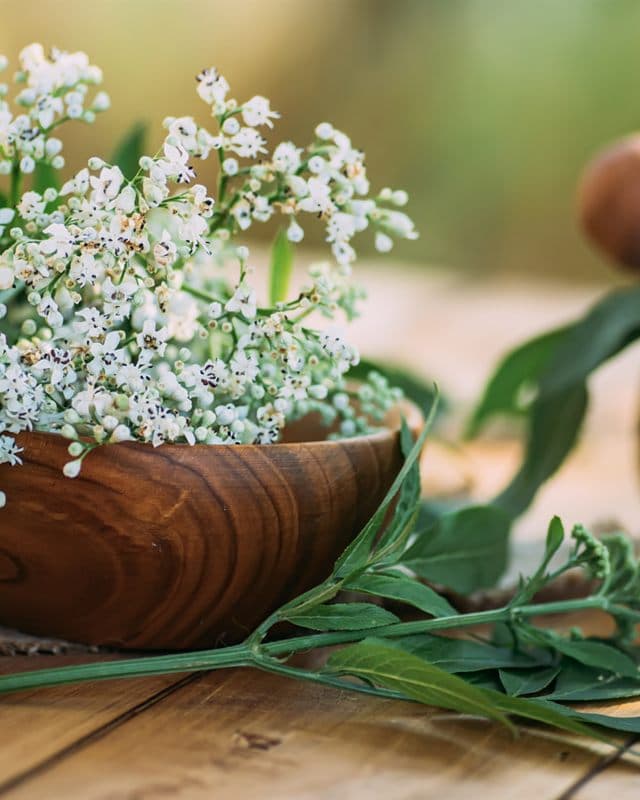 Complementos naturales para relajarse en Ourense